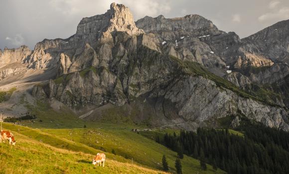 Via Alpina, Tappa 14/20