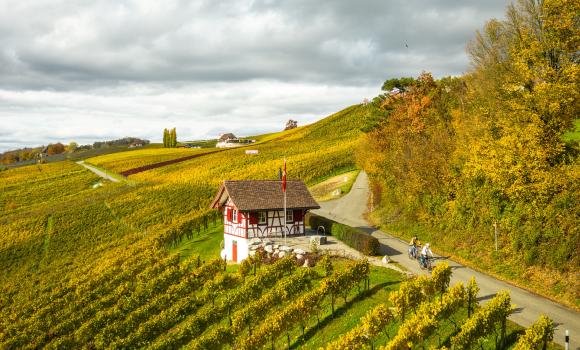 Ostschweizer Wein-Route