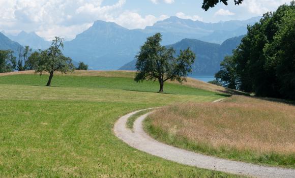Waldstätterweg, Tappa 2/7