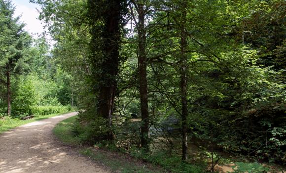 Boucle champêtre du Gros de Vaud