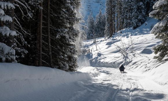 Prätschli-Obersee-Schlittelbahn