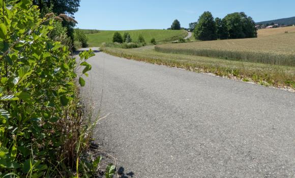 Lötschberg–Jura, Tappa 3/5