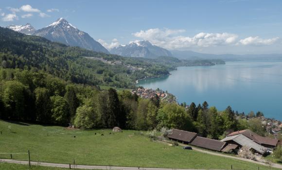 Panorama Rundweg Thunersee