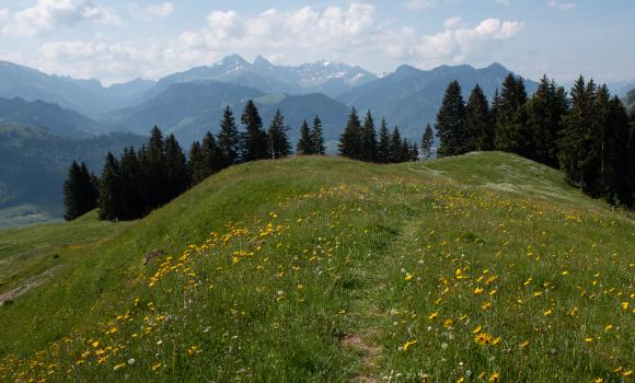 La Berra par la Valsainte