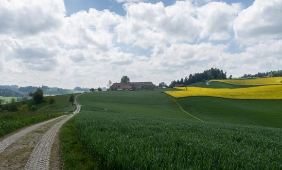 ViaJacobi, Tappa 27/33