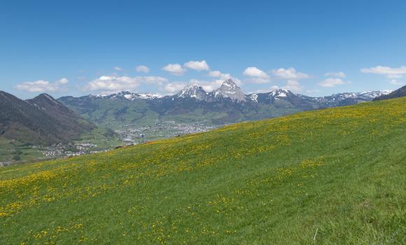 Trans Swiss Trail