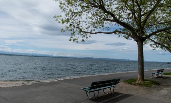 Sentier du Lac de Neuchâtel