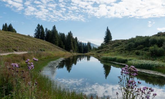 Dreibündenstein Panoramaweg
