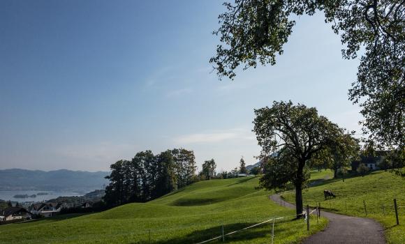 Zürichsee-Rundweg