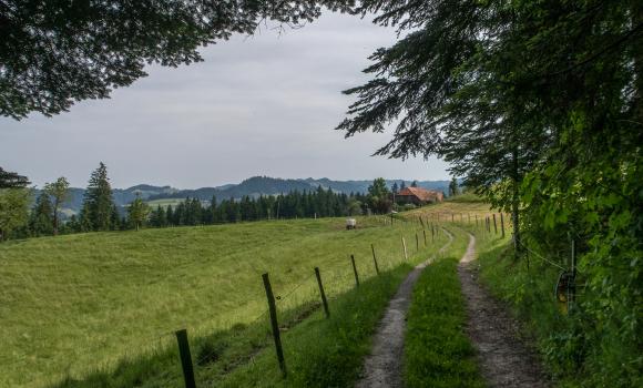 Trans Swiss Trail, Tappa 13/32