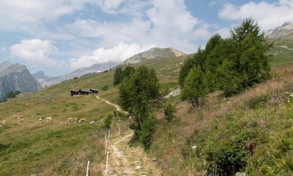 Valais Alpine Bike