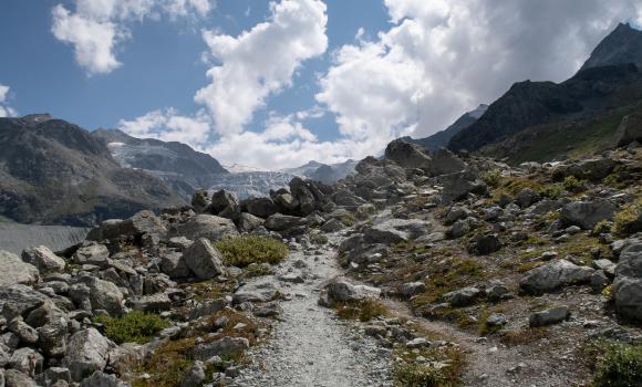 Tour du Lac de Moiry