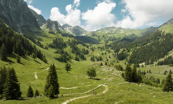 Sentiero alpino panoramico