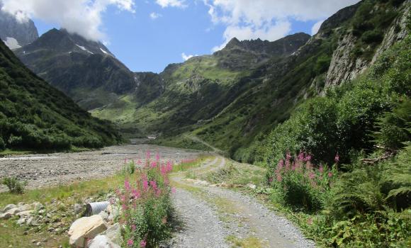 Alpine Bike