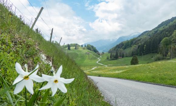 Percorso panoramico delle Alpi, Tappa 8/9