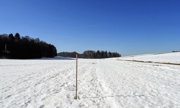 Chemin Saignelégier–Le Noirmont
