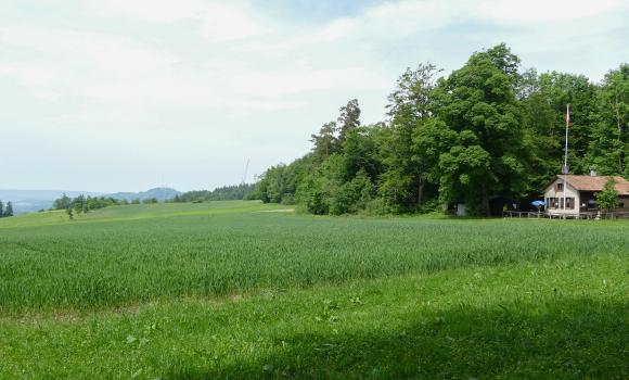 Albisgrat-Höhenweg