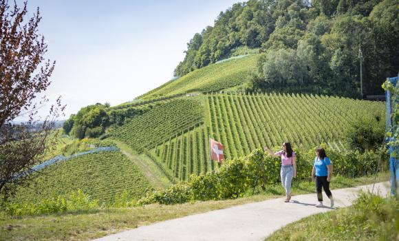 Sentiero didattico dei vigneti Vully