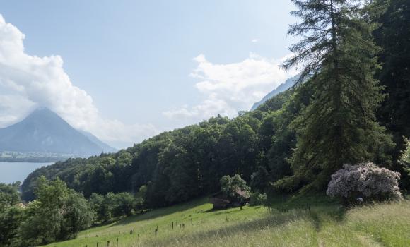 Alpine Bike, Tappa 13/16