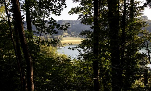 Zürich–Einsiedeln Bike, Tappa 1/2
