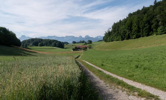 Gürbetaler Höhenweg