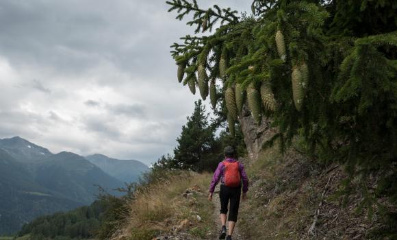 Jakobsweg Graubünden, Tappa 6/19