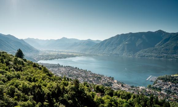 Immagine 2