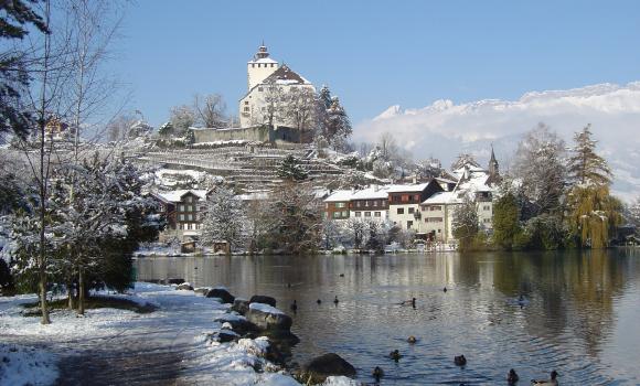 Immagine 2