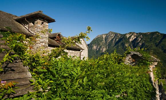Immagine 2
