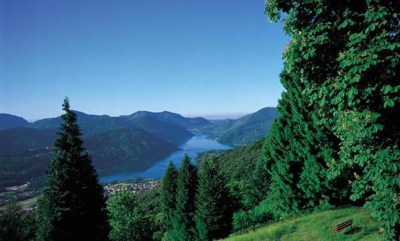 Immagine 5
