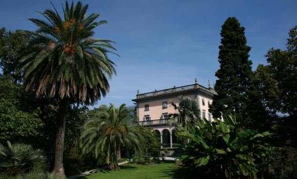 Immagine 6
