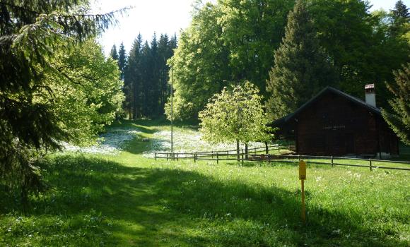 Immagine 3