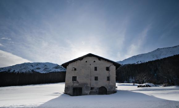 Immagine 14