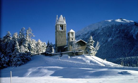 Immagine 5