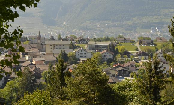 Immagine 2
