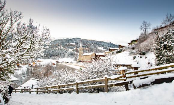 Immagine 3