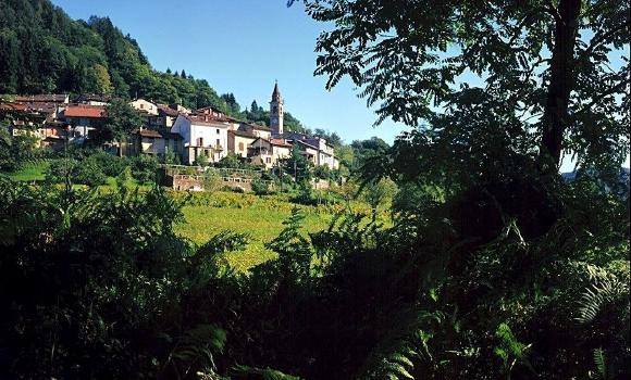 Immagine 3