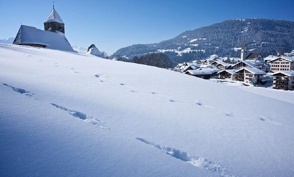 Immagine 6