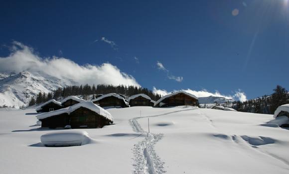 Immagine 4