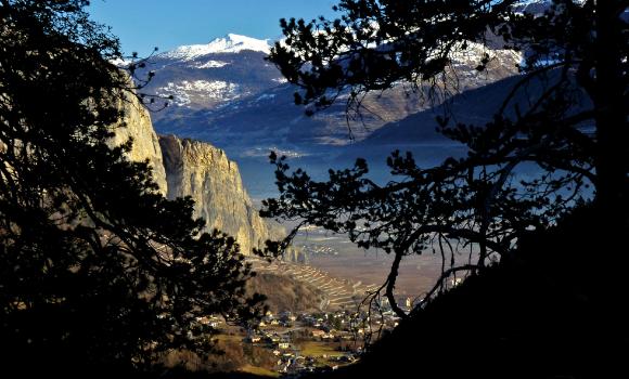 Immagine 2