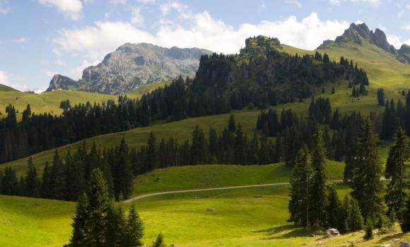 Immagine 3