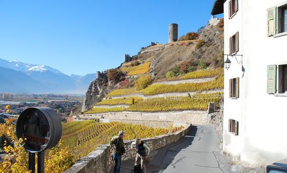 Chemin viticole de Martigny à Loèche