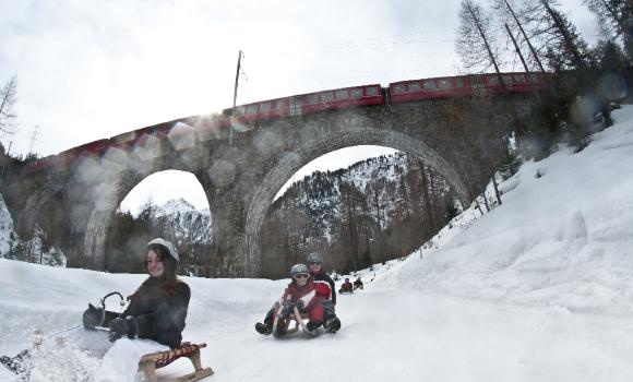 Descentes en luge