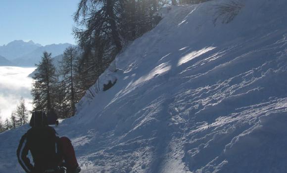 Descente en luge pour un maximum de plaisir