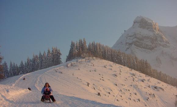 Faire de la luge aux Préalpes fribourgeoises