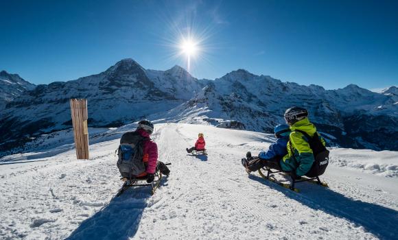 Sentier de luge de Männlichen