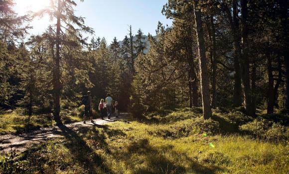 Les marais, une fascination