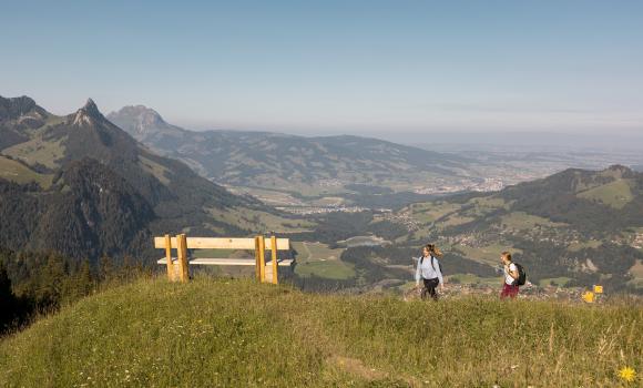 Vue sur la région de La Gruyère depuis Vounetz