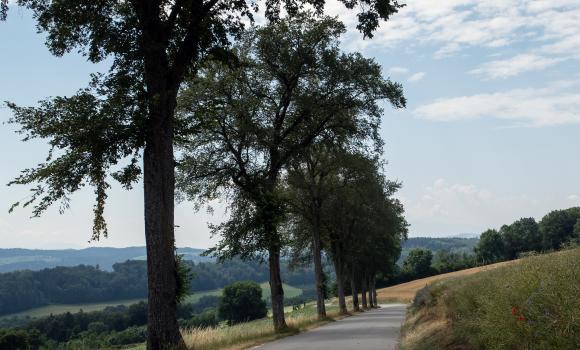 Broye champêtre à vélo