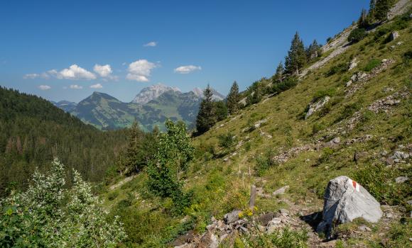 Toggenburger Höhenweg